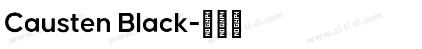 Causten Black字体转换